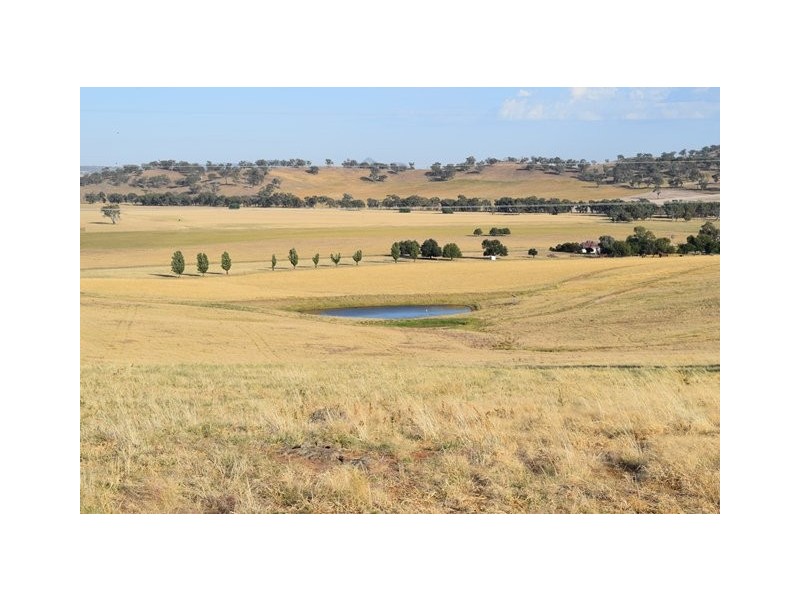 Wagga Wagga NSW 2650