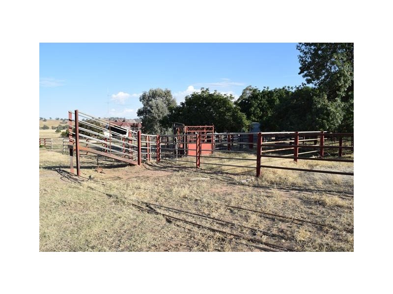 Wagga Wagga NSW 2650