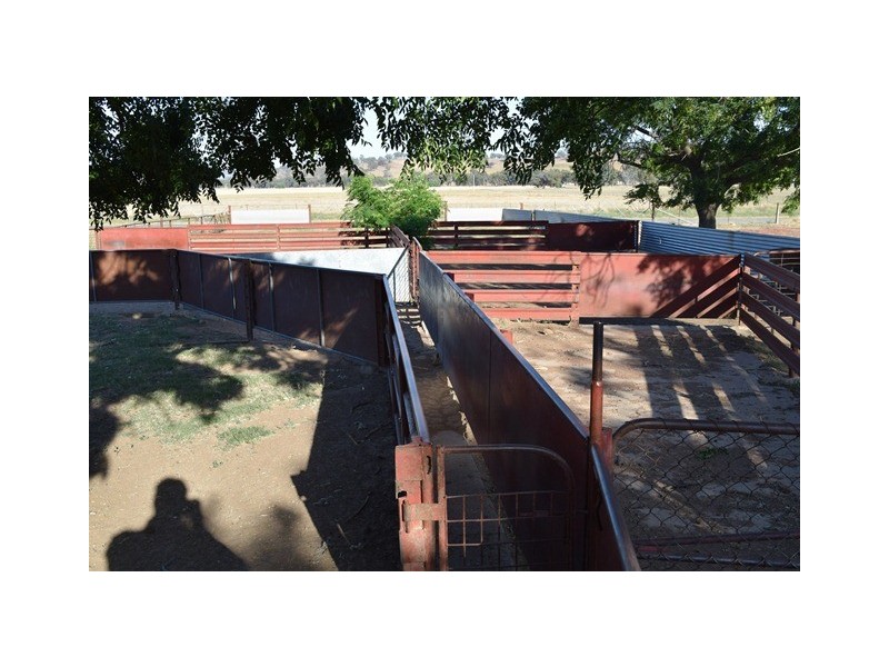 Wagga Wagga NSW 2650