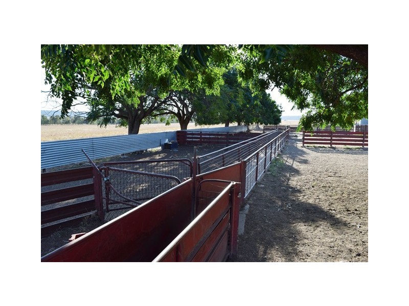 Wagga Wagga NSW 2650