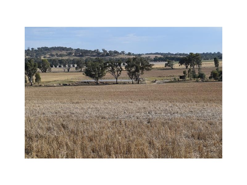 Wagga Wagga NSW 2650