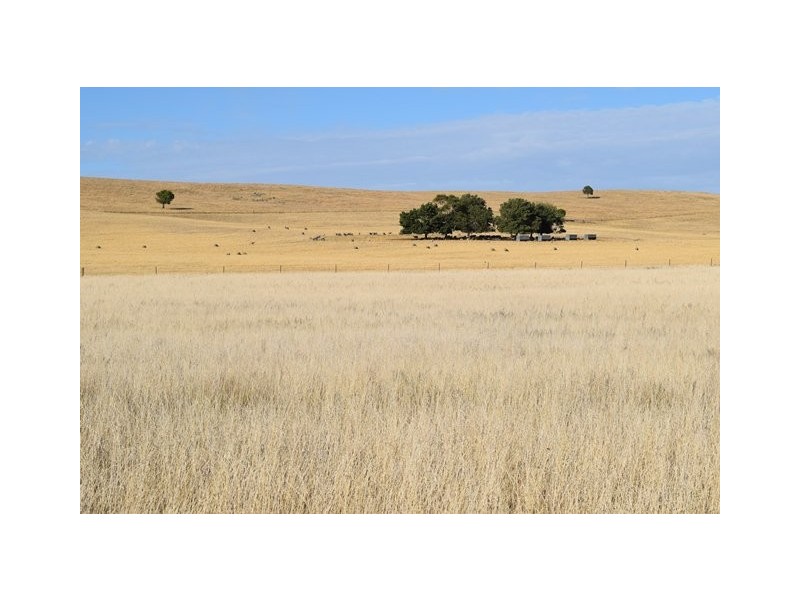 Wagga Wagga NSW 2650