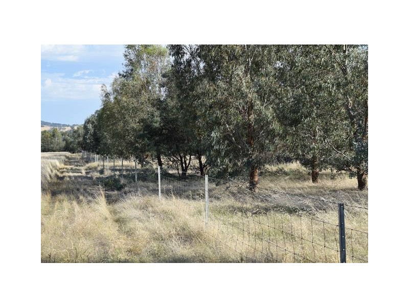 Wagga Wagga NSW 2650