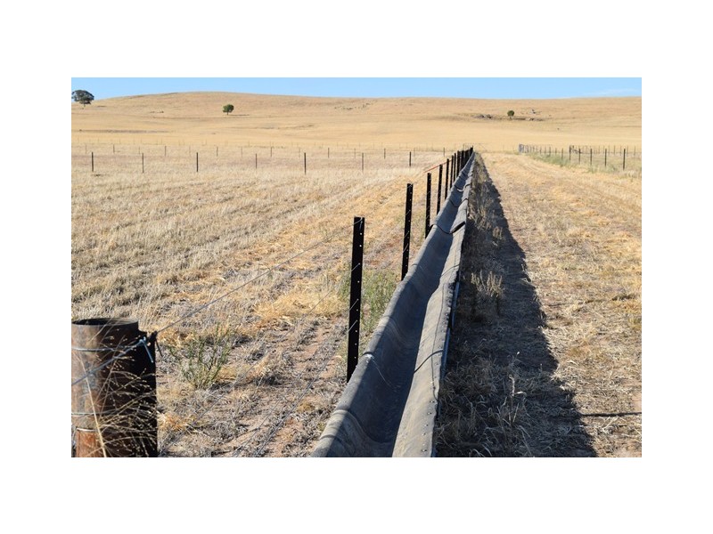 Wagga Wagga NSW 2650