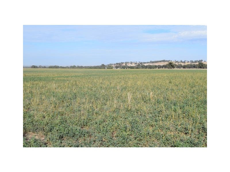 Wagga Wagga NSW 2650