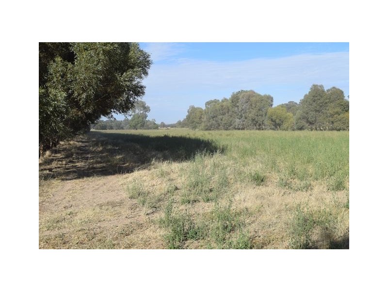 Wagga Wagga NSW 2650