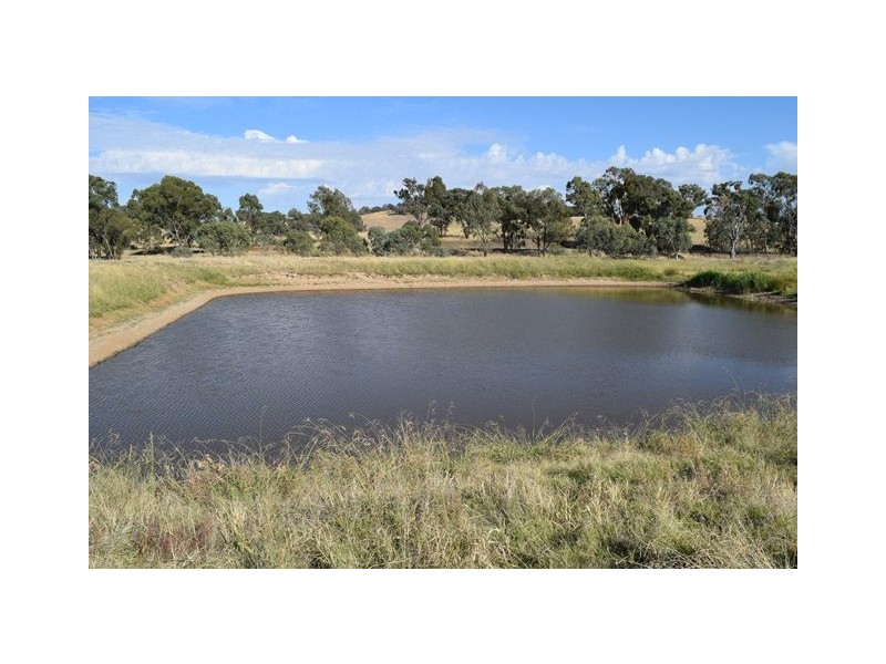 Wagga Wagga NSW 2650