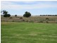 1055 ARATULA ROAD, Deniliquin NSW 2710