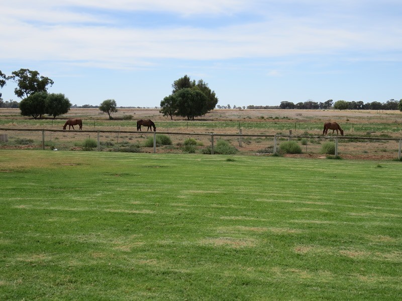 1055 ARATULA ROAD, Deniliquin NSW 2710