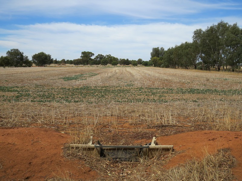 1055 ARATULA ROAD, Deniliquin NSW 2710