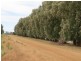 1055 ARATULA ROAD, Deniliquin NSW 2710