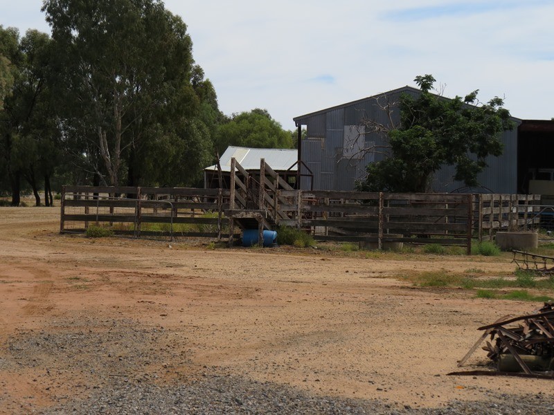 1055 ARATULA ROAD, Deniliquin NSW 2710