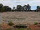 1055 ARATULA ROAD, Deniliquin NSW 2710