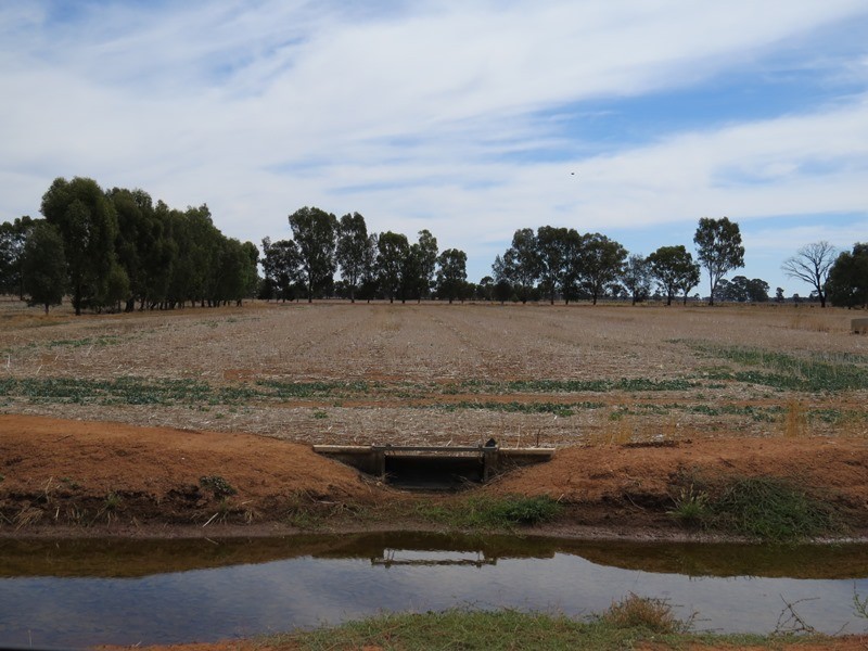 1055 ARATULA ROAD, Deniliquin NSW 2710