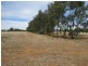 1055 ARATULA ROAD, Deniliquin NSW 2710