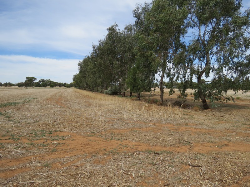 1055 ARATULA ROAD, Deniliquin NSW 2710