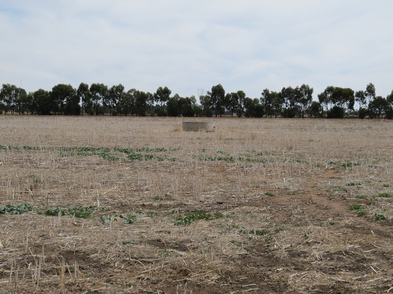1055 ARATULA ROAD, Deniliquin NSW 2710