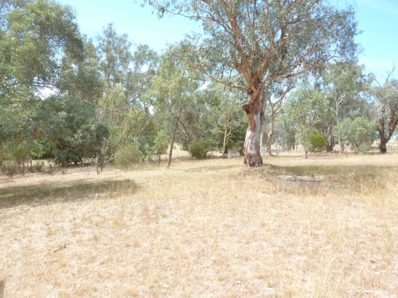 00 Albert, Reids Flat NSW 2586