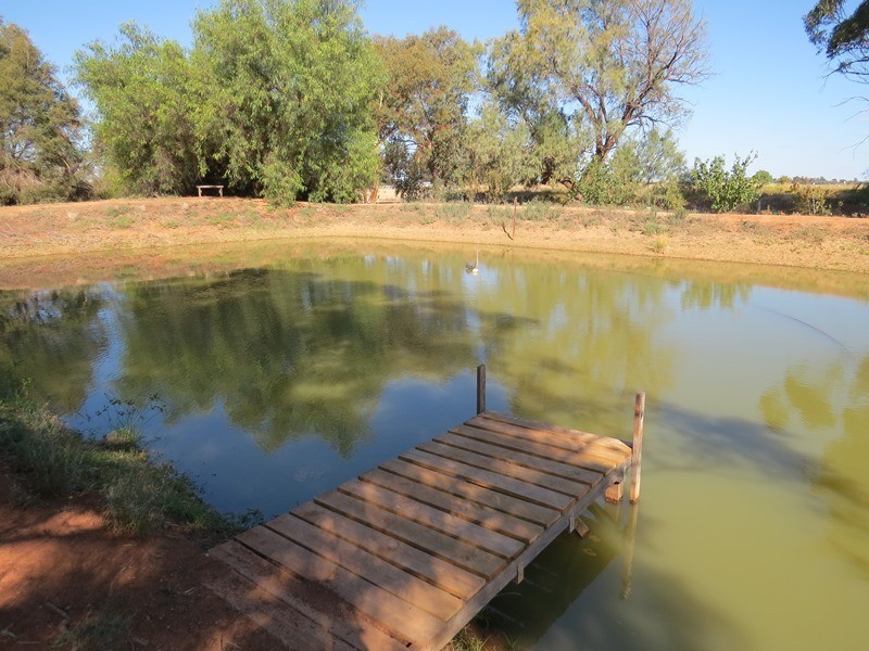 771 Aratula Road, Deniliquin NSW 2710