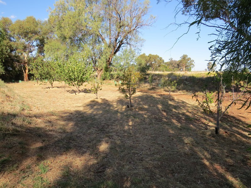 771 Aratula Road, Deniliquin NSW 2710