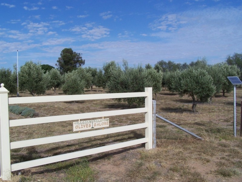 700 Galore Road. Galore via, Wagga Wagga NSW 2650