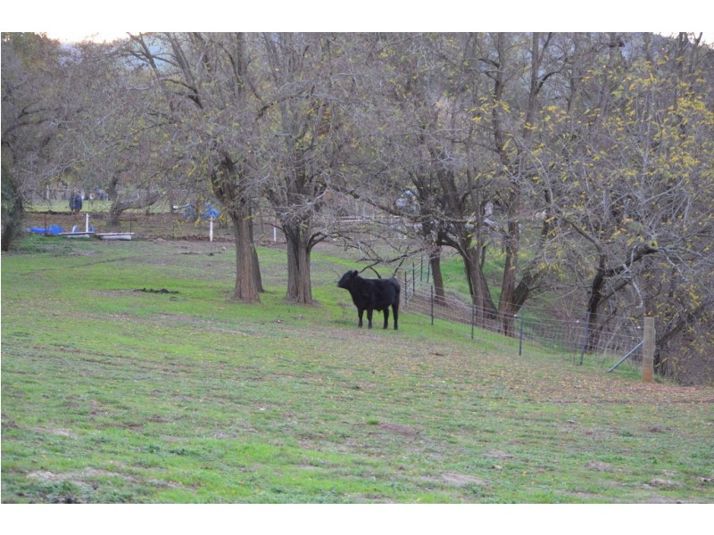 8398 Murray Valley Highway, Tallangatta East VIC 3700