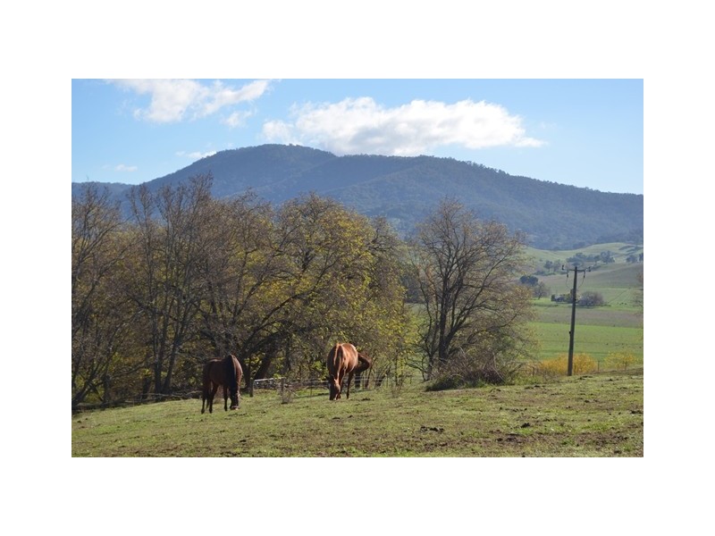 8398 Murray Valley Highway, Tallangatta East VIC 3700