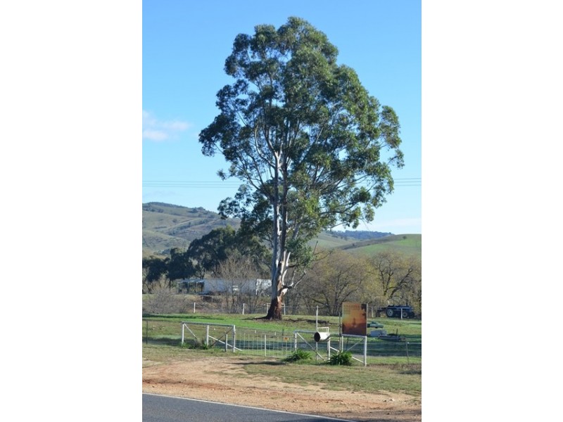 8398 Murray Valley Highway, Tallangatta East VIC 3700