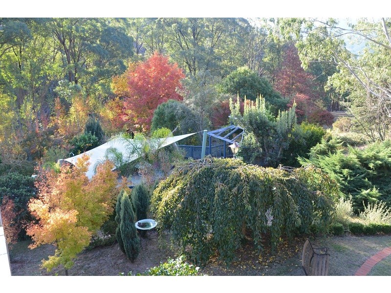 3 Walkers Lane, Bright VIC 3741