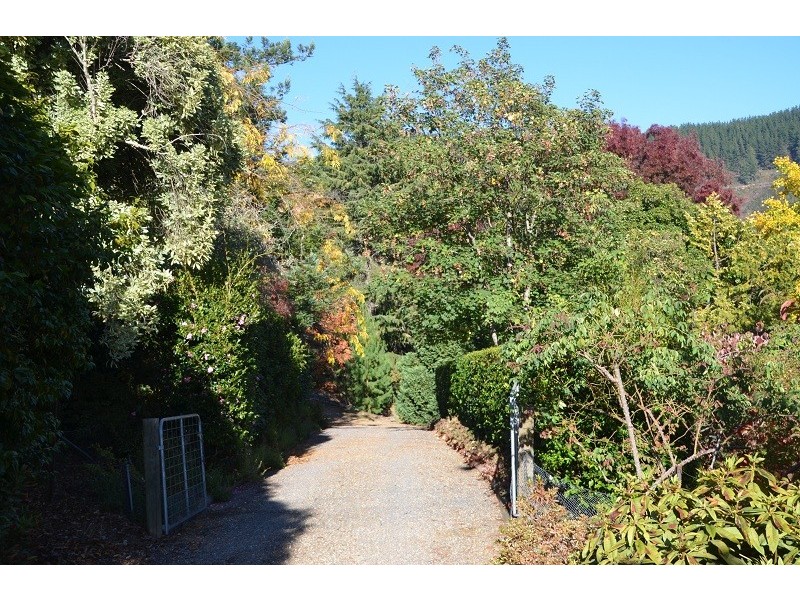 3 Walkers Lane, Bright VIC 3741