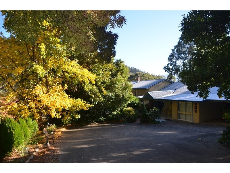 3 Walkers Lane, Bright VIC 3741