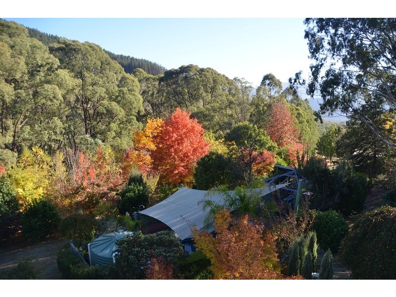 3 Walkers Lane, Bright VIC 3741