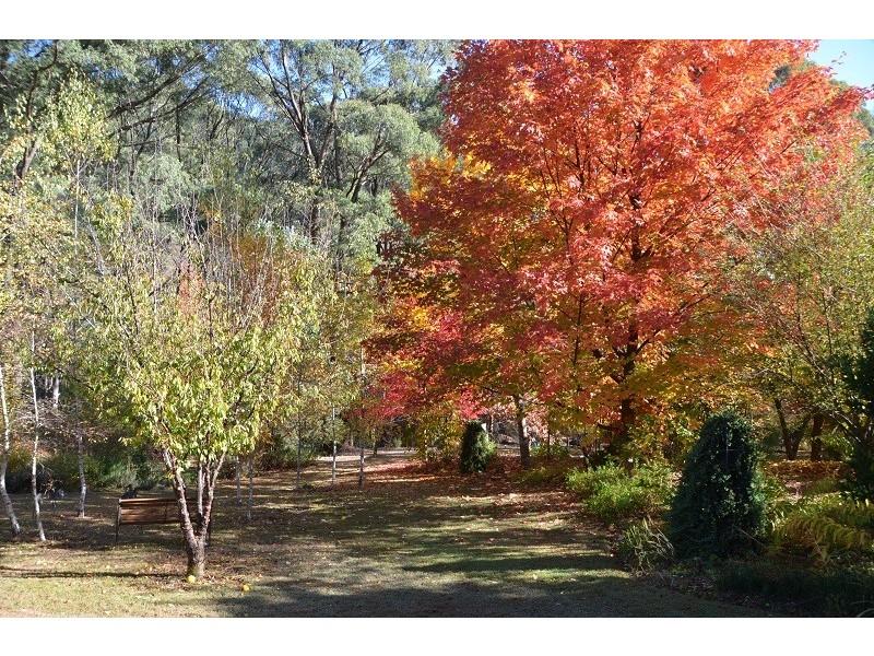 3 Walkers Lane, Bright VIC 3741