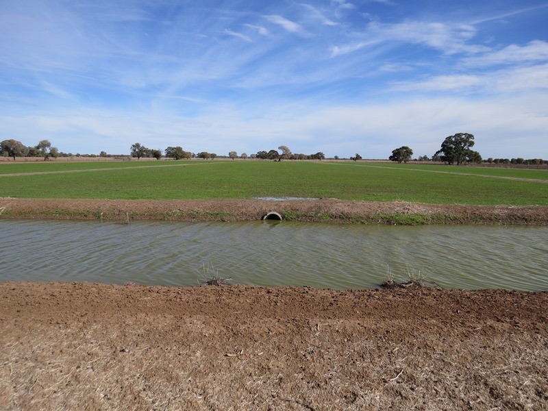 “Bungaree” Flanagans Lane, Deniliquin NSW 2710