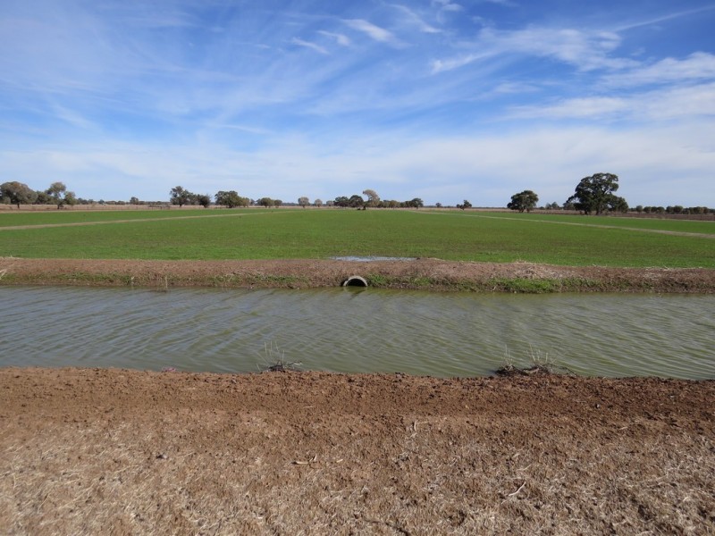 “Bungaree” Flanagans Lane, Deniliquin NSW 2710
