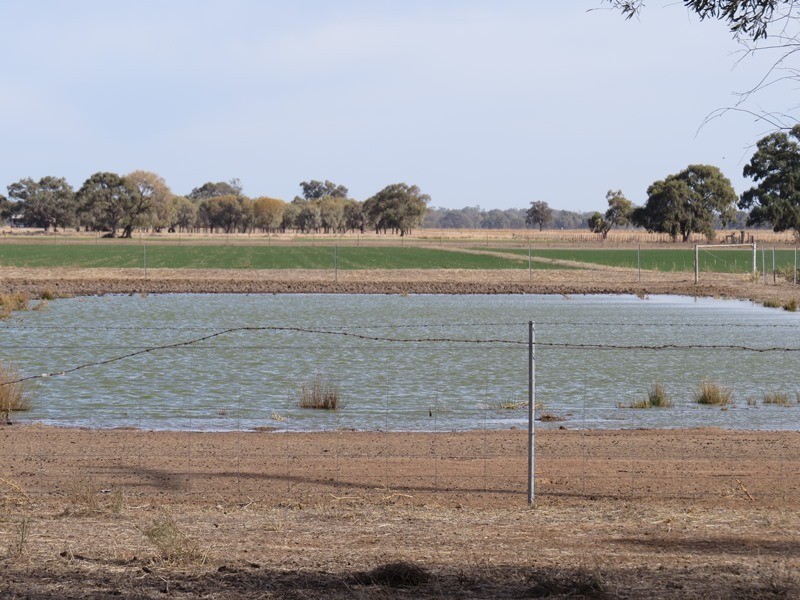 “Bungaree” Flanagans Lane, Deniliquin NSW 2710