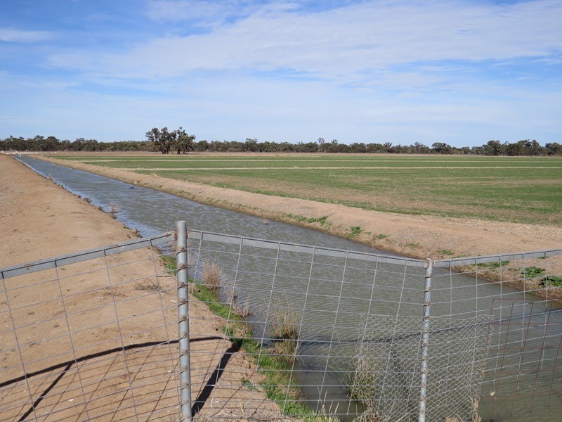 “Bungaree” Flanagans Lane, Deniliquin NSW 2710