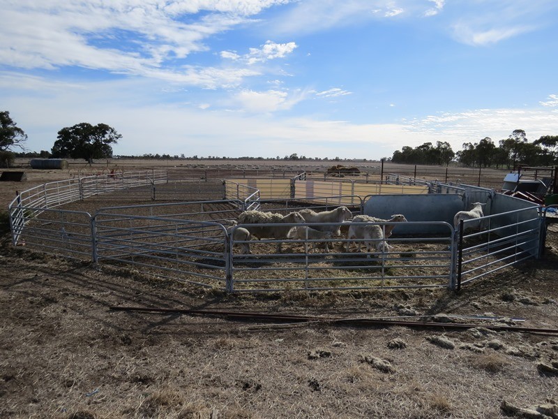 “Bungaree” Flanagans Lane, Deniliquin NSW 2710
