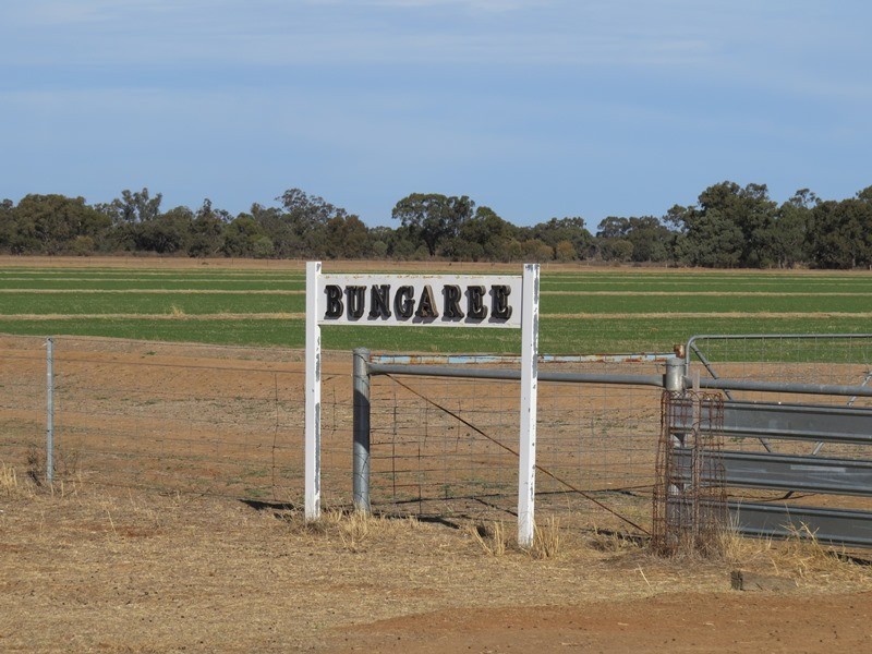“Bungaree” Flanagans Lane, Deniliquin NSW 2710
