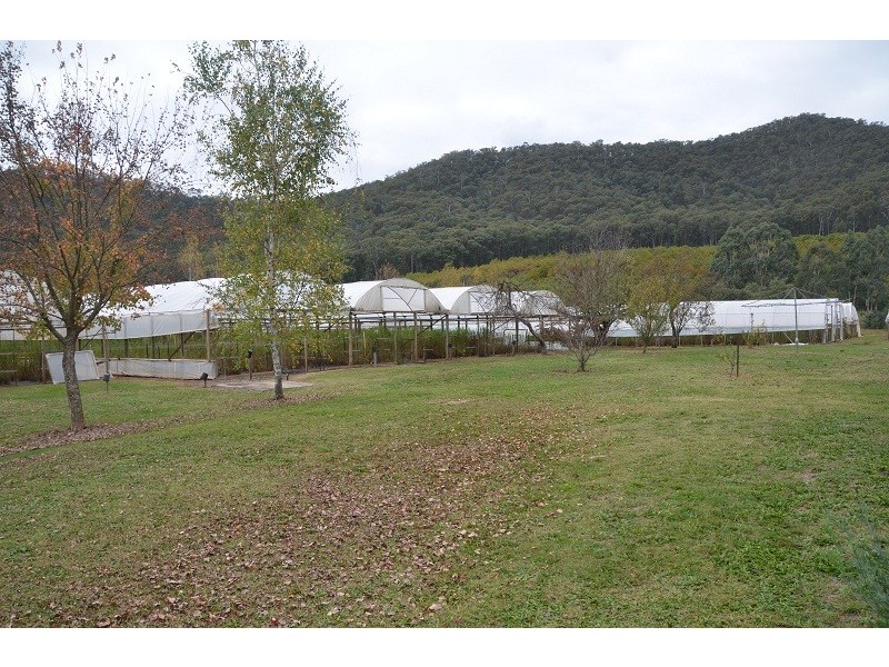 787 Morses Creek Road, Wandiligong VIC 3744