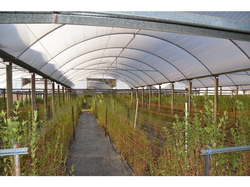 787 Morses Creek Road, Wandiligong VIC 3744