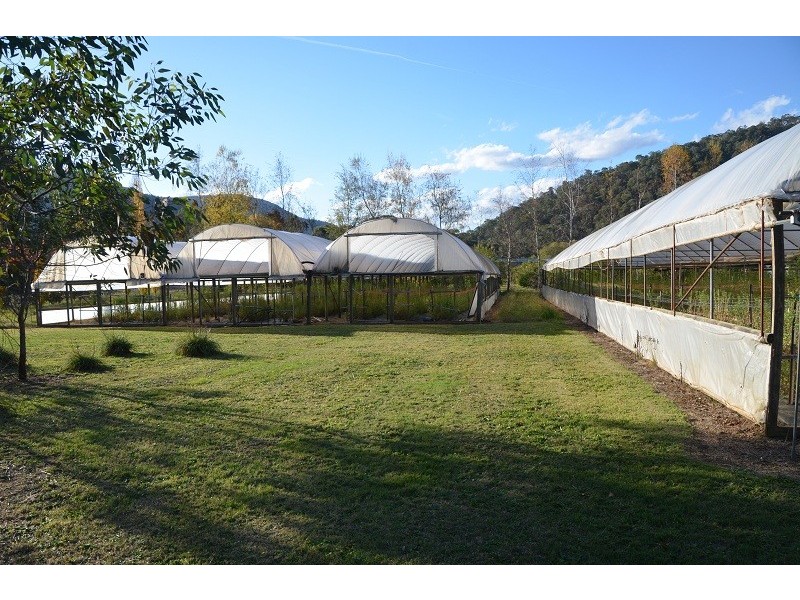 787 Morses Creek Road, Wandiligong VIC 3744