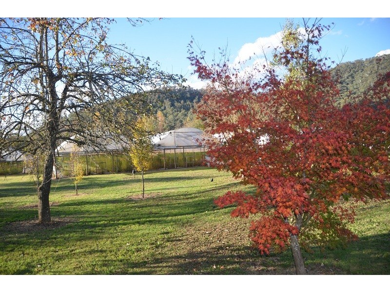 787 Morses Creek Road, Wandiligong VIC 3744