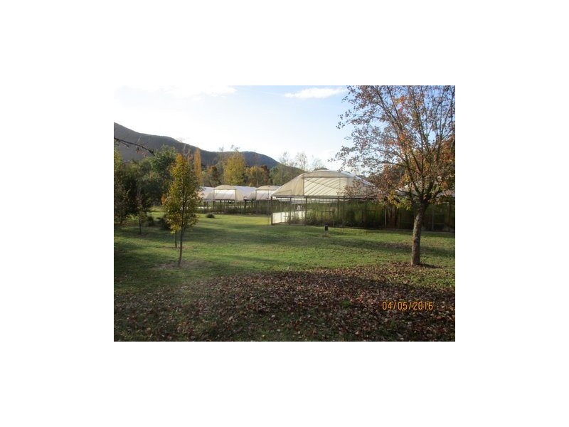 787 Morses Creek Road, Wandiligong VIC 3744