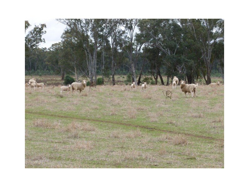 516B Dugays Bridge Road, Brimin VIC 3685