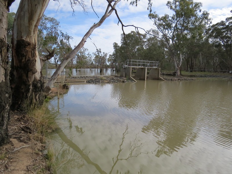 819 Hardings Road, Picola VIC 3639