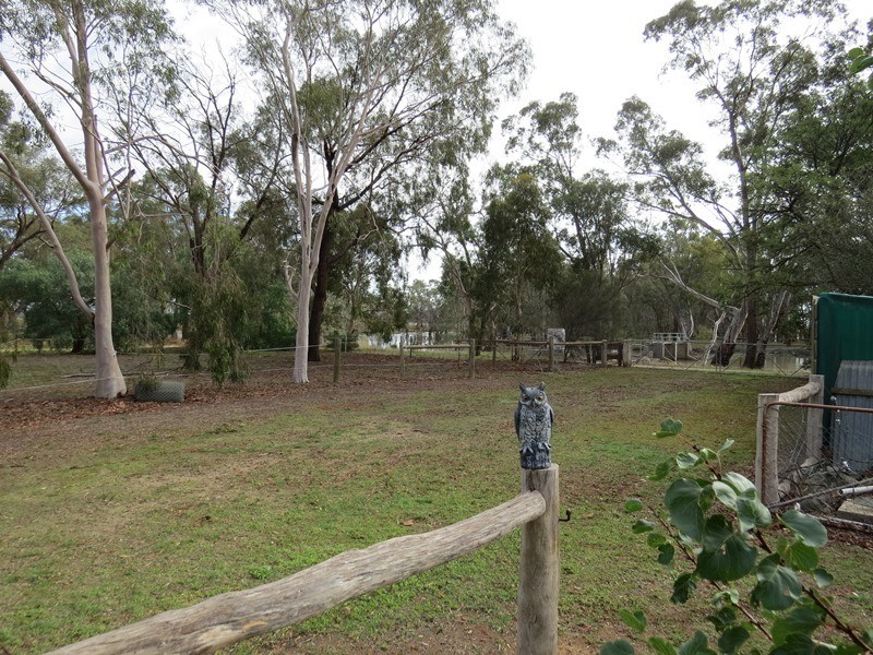 819 Hardings Road, Picola VIC 3639