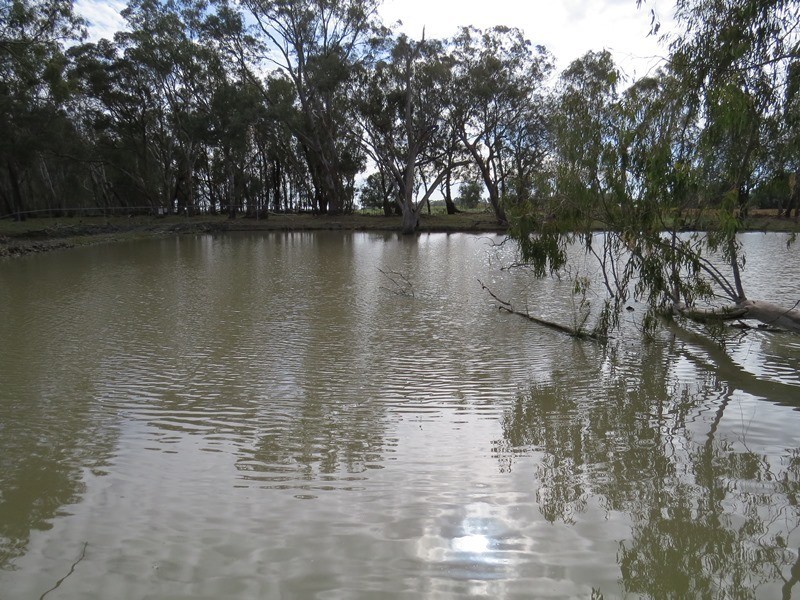 819 Hardings Road, Picola VIC 3639