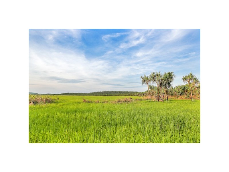 768 Letchford Road, Darwin River NT 0841