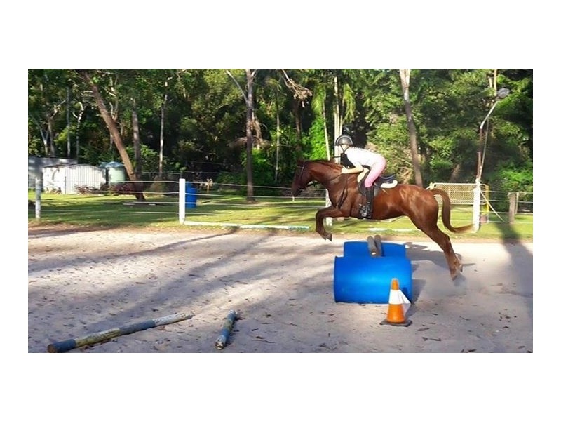 25 Krichauff Road, Humpty Doo NT 0836